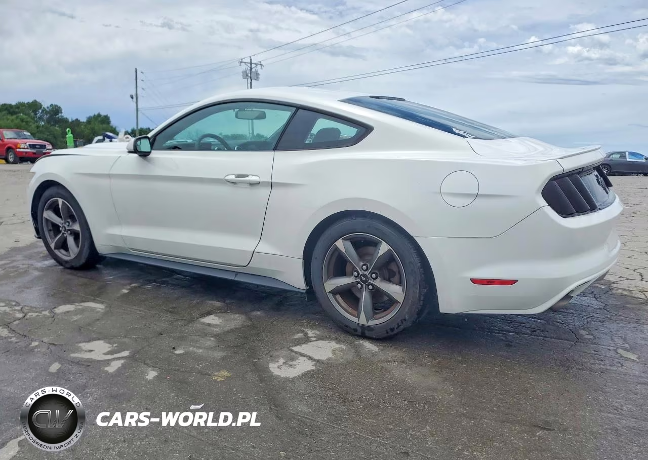 2015 Ford Mustang VIN:1FA6P8AM2F5429325 - 2