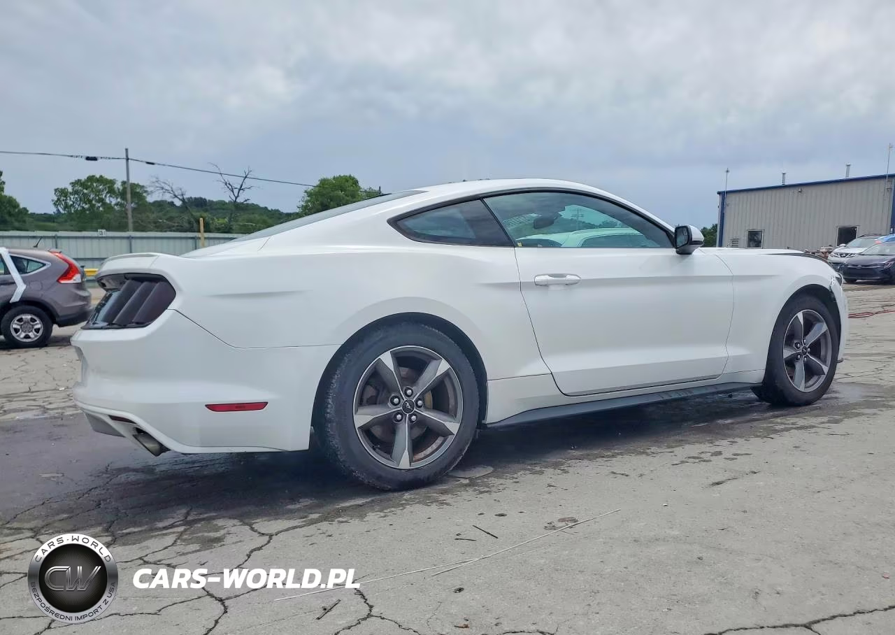 2015 Ford Mustang VIN:1FA6P8AM2F5429325 - 3