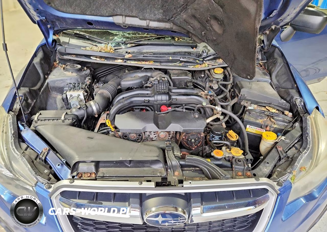 2014 Subaru Impreza VIN:JF1GPAA69E8313744 - 11