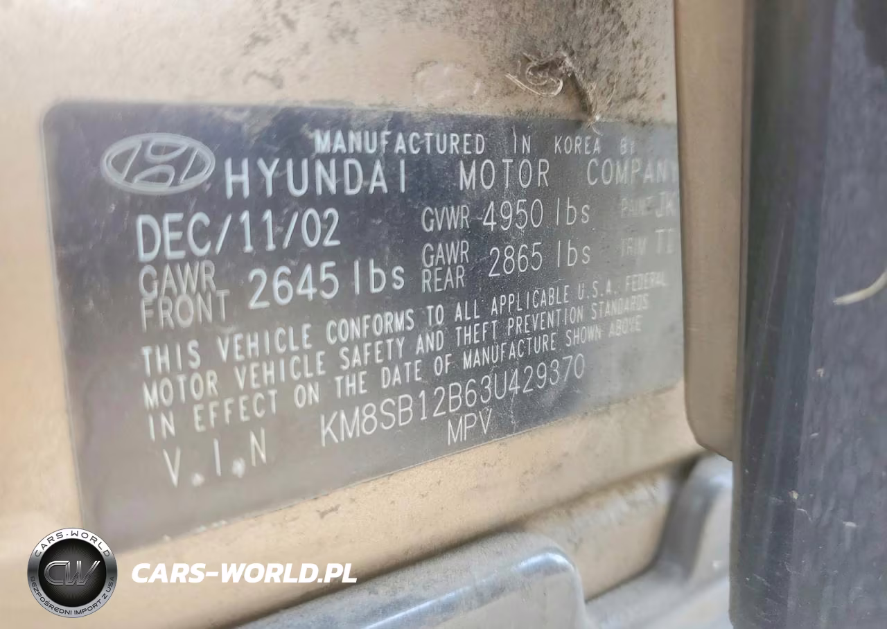 2003 Hyundai Santa Fe VIN:KM8SB12B63U429370 - 14