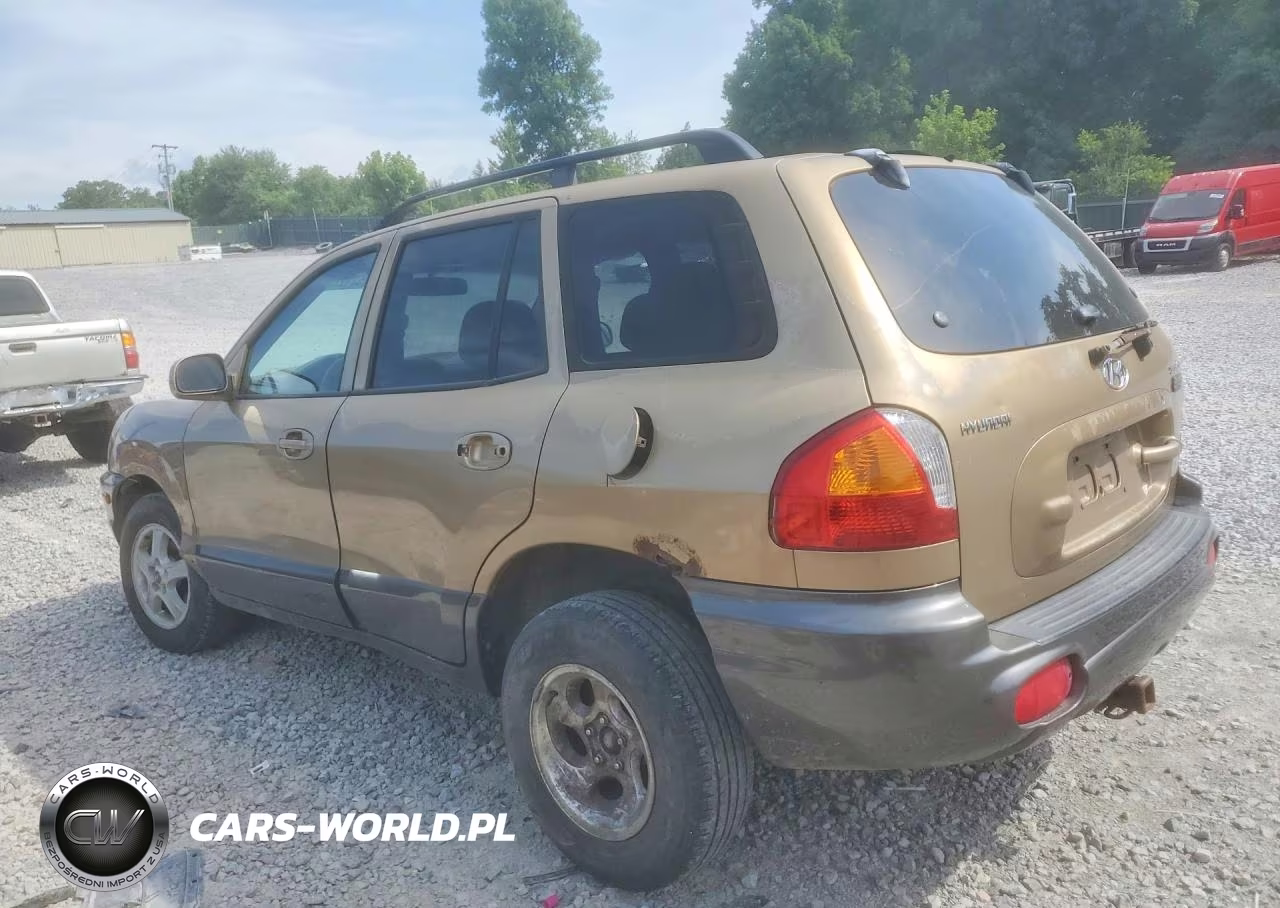 2003 Hyundai Santa Fe VIN:KM8SB12B63U429370 - 2