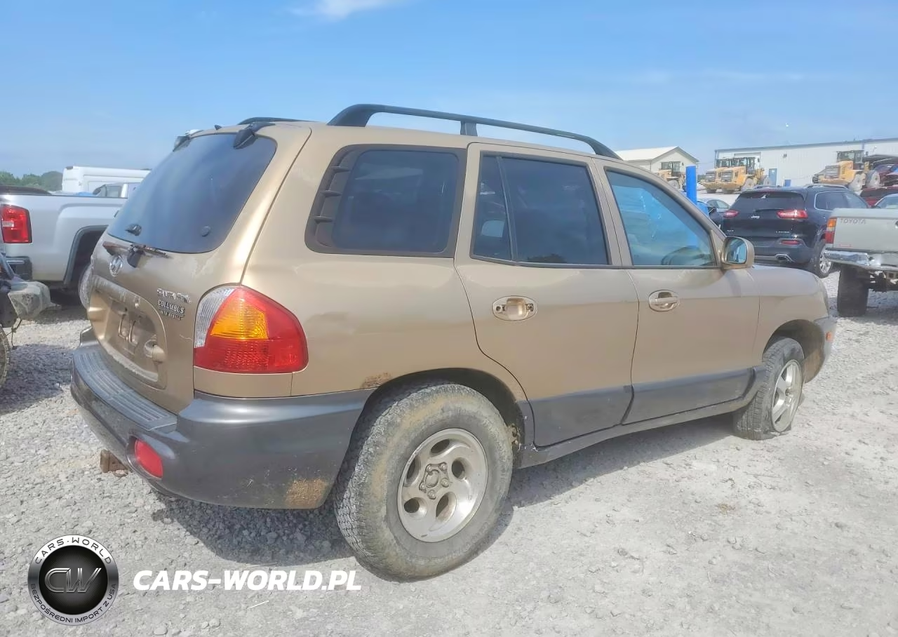 2003 Hyundai Santa Fe VIN:KM8SB12B63U429370 - 3