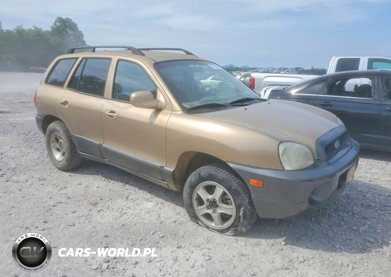 2003 Hyundai Santa Fe VIN:KM8SB12B63U429370 - 4