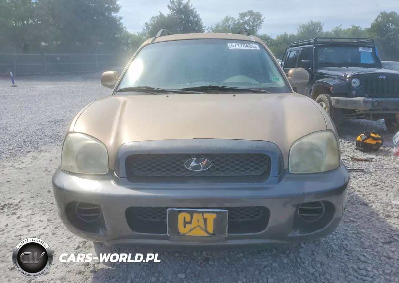 2003 Hyundai Santa Fe VIN:KM8SB12B63U429370 - 5