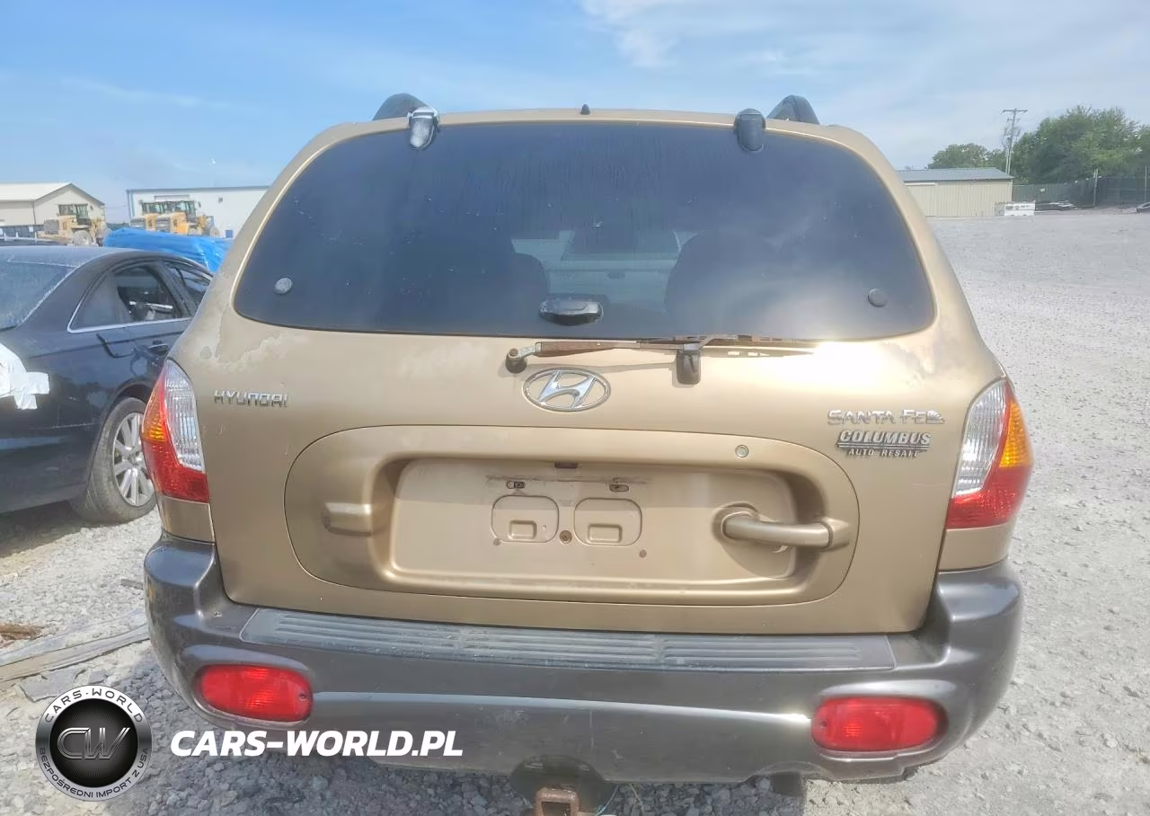 2003 Hyundai Santa Fe VIN:KM8SB12B63U429370 - 6
