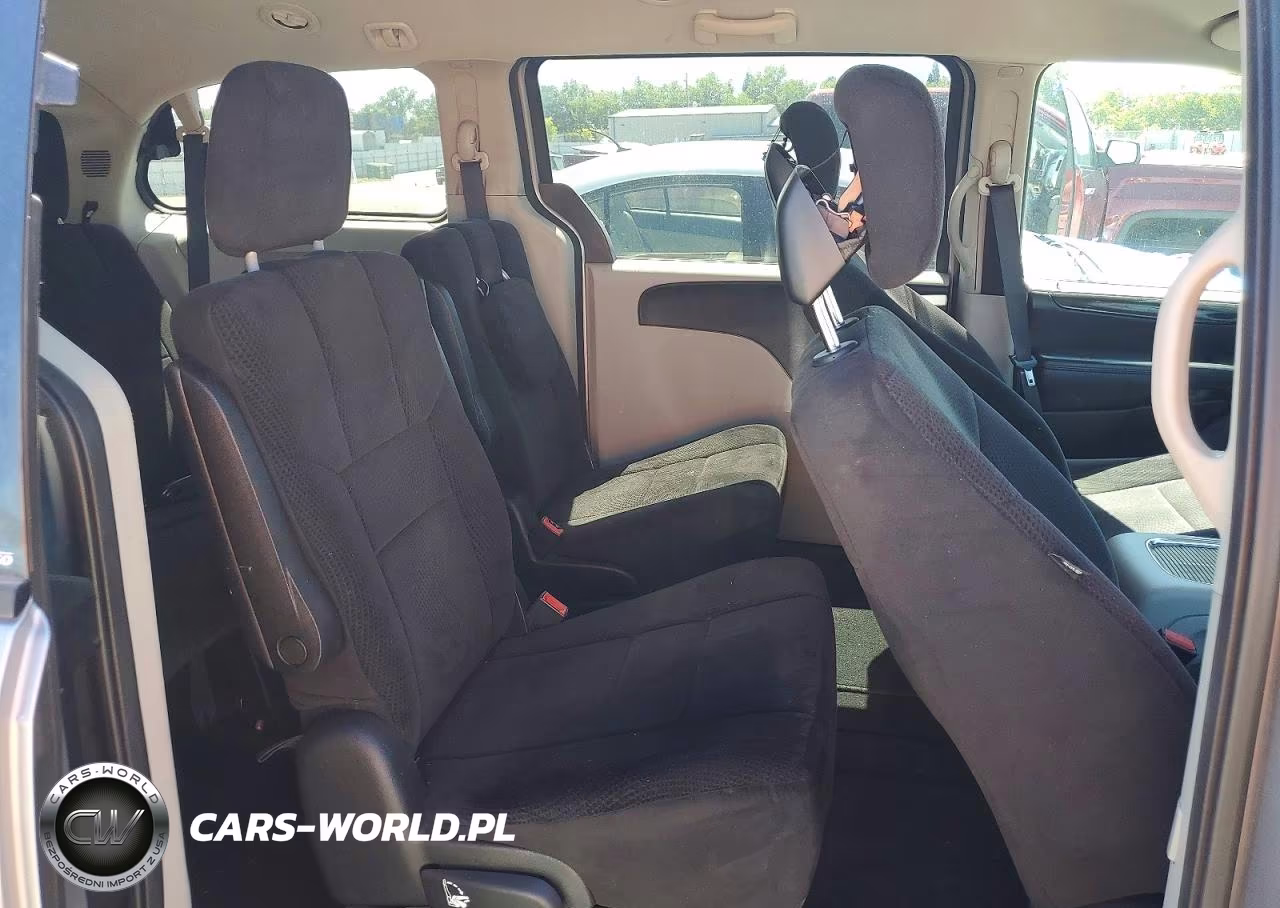 2014 Dodge Grand Caravan Sxt VIN:2C4RDGCG6ER123246 - 10