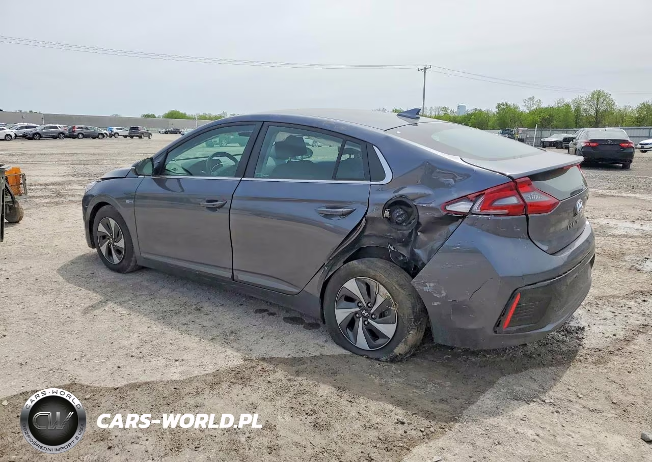 2019 Hyundai Ioniq Sel VIN:KMHC75LC4KU145061 - 2