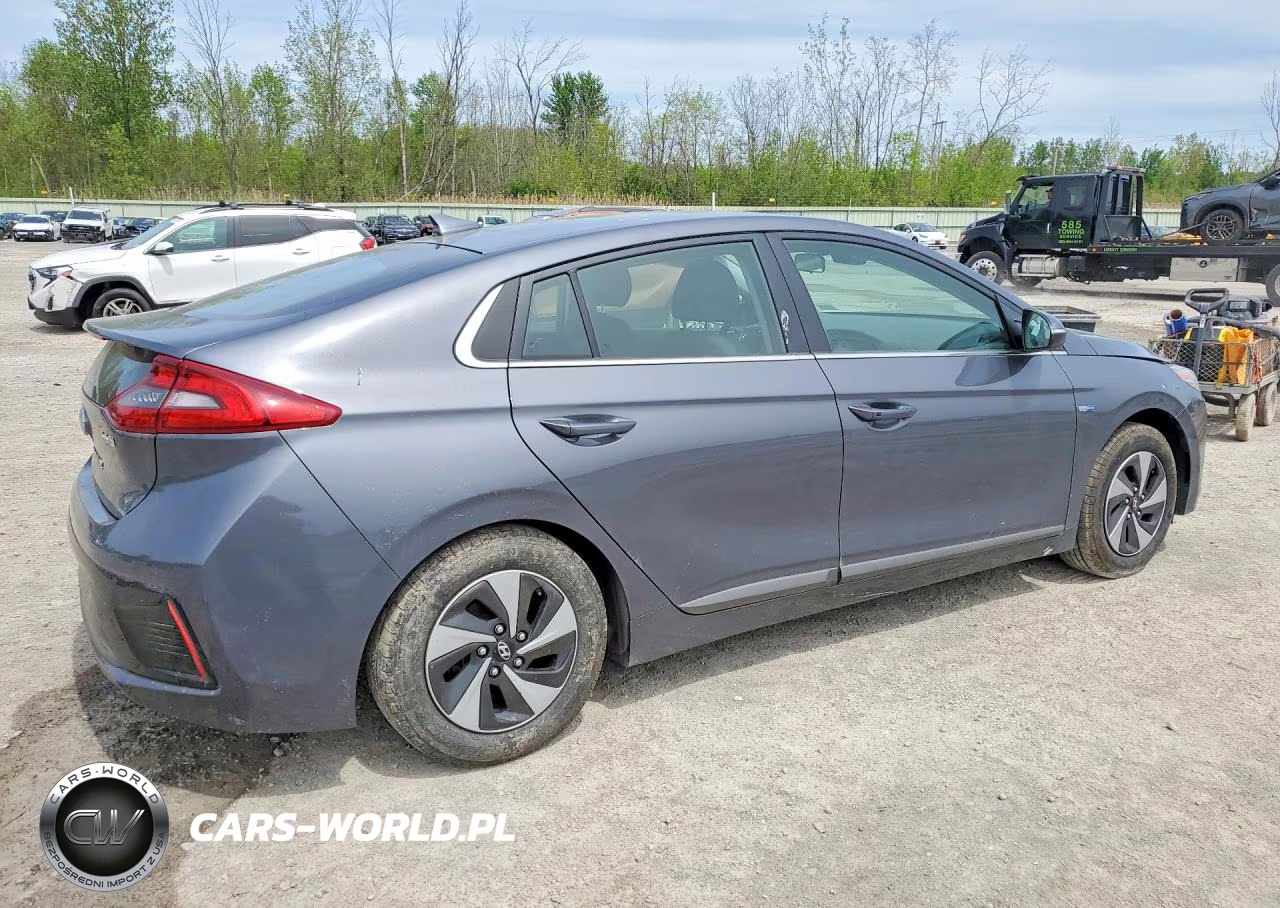 2019 Hyundai Ioniq Sel VIN:KMHC75LC4KU145061 - 3