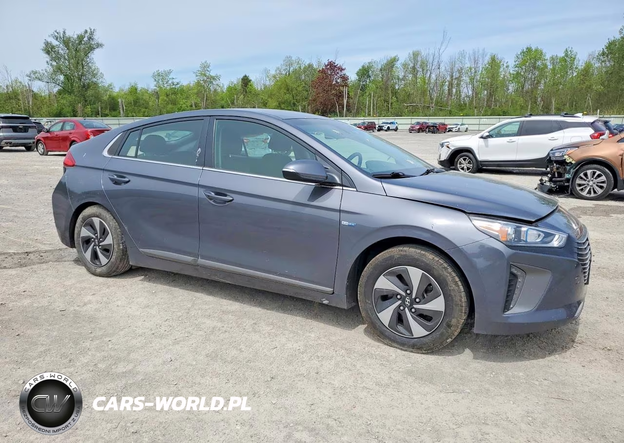 2019 Hyundai Ioniq Sel VIN:KMHC75LC4KU145061 - 4