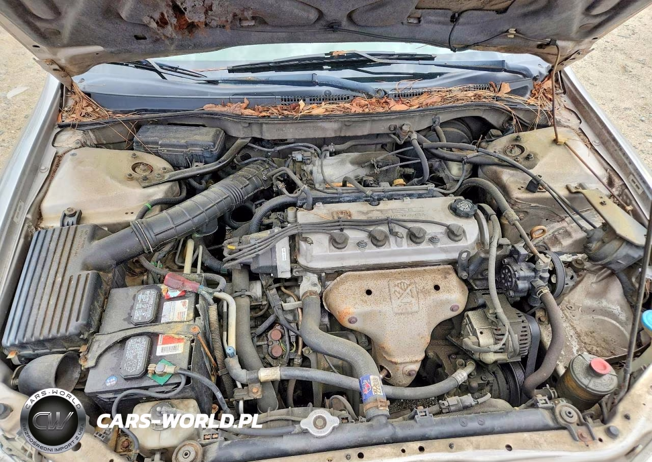 1998 Honda Accord Lx VIN:1HGCG5640WA256109 - 11