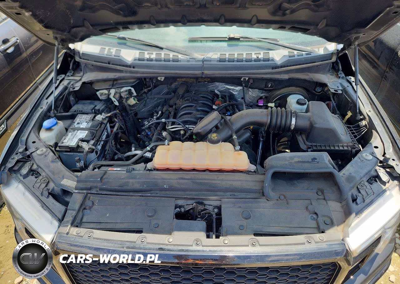 2019 Ford F150 Supercrew VIN:1FTEW1C55KKC09999 - 11