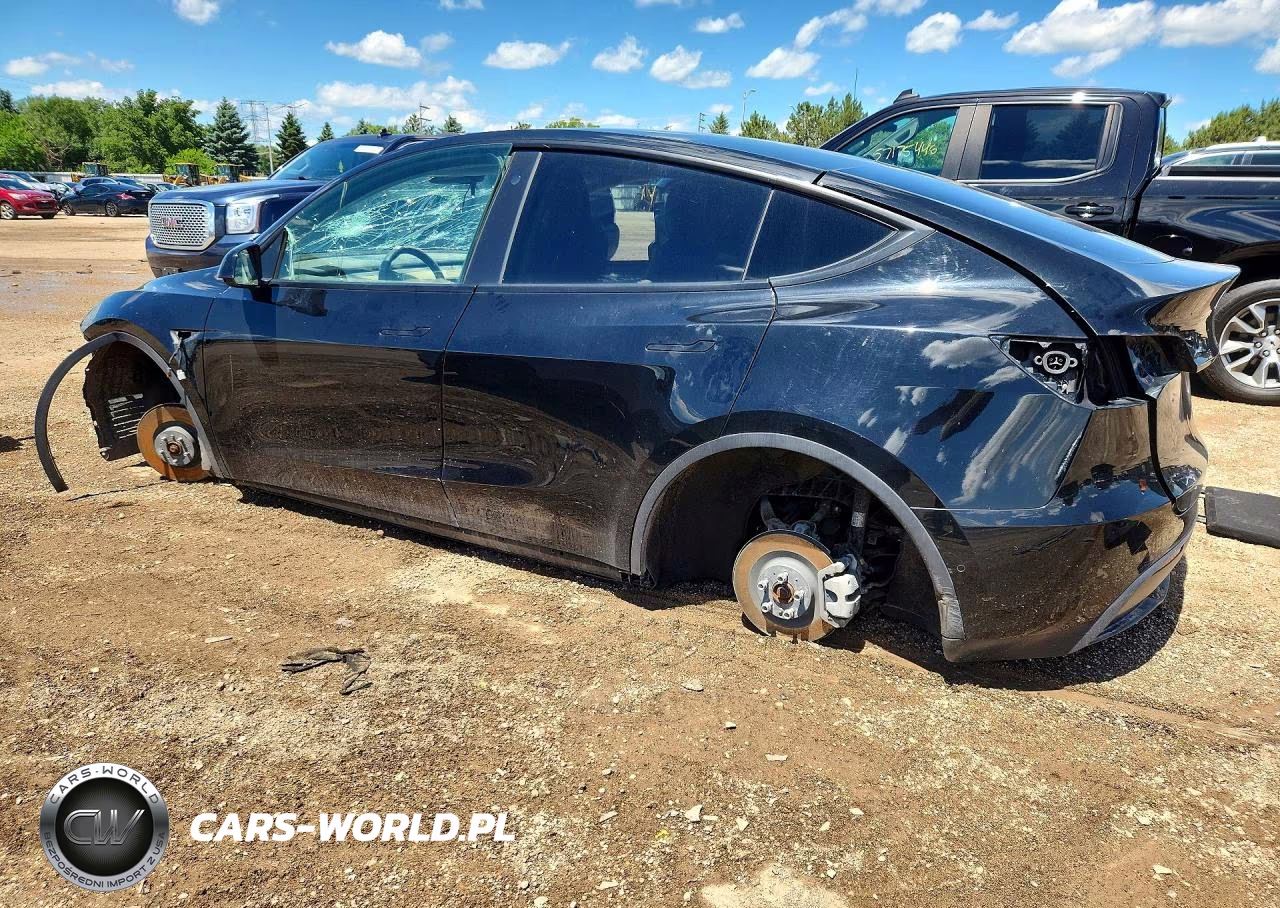 2022 Tesla Model Y VIN:7SAYGDEE3NF387455 - 2
