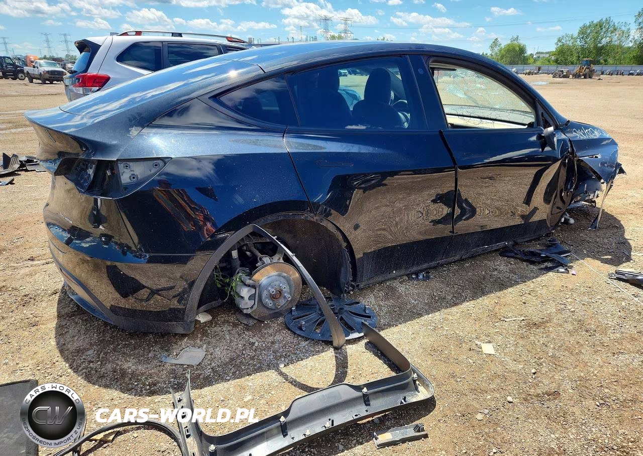 2022 Tesla Model Y VIN:7SAYGDEE3NF387455 - 3