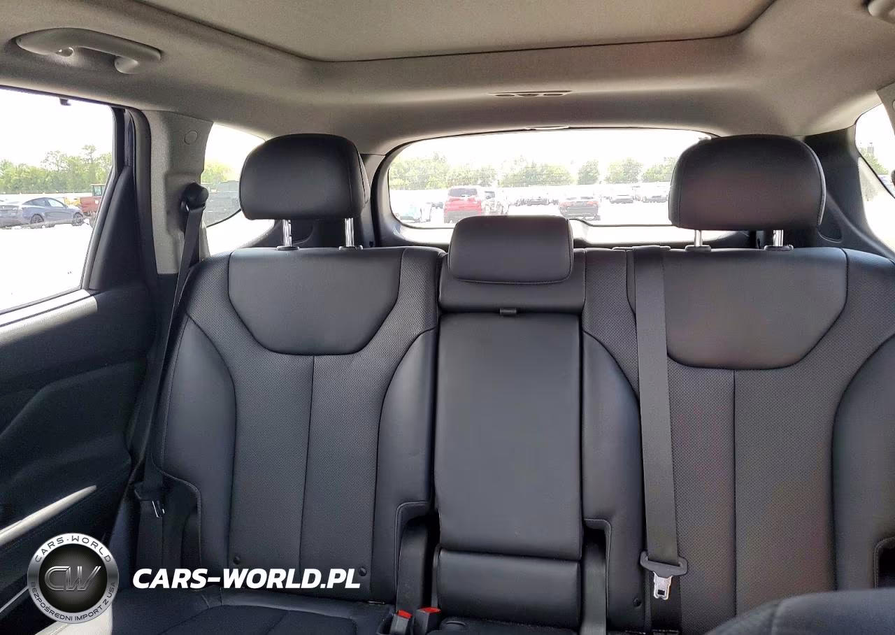 2020 Hyundai Santa Fe Limited 2.0T VIN:5NMS53AA7LH184408 - 10