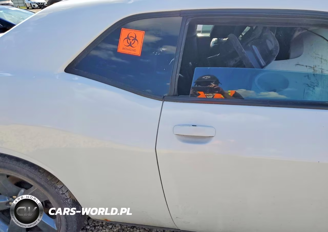 2014 Dodge Challenger Base VIN:2C3CDYAG5EH112098 - 10