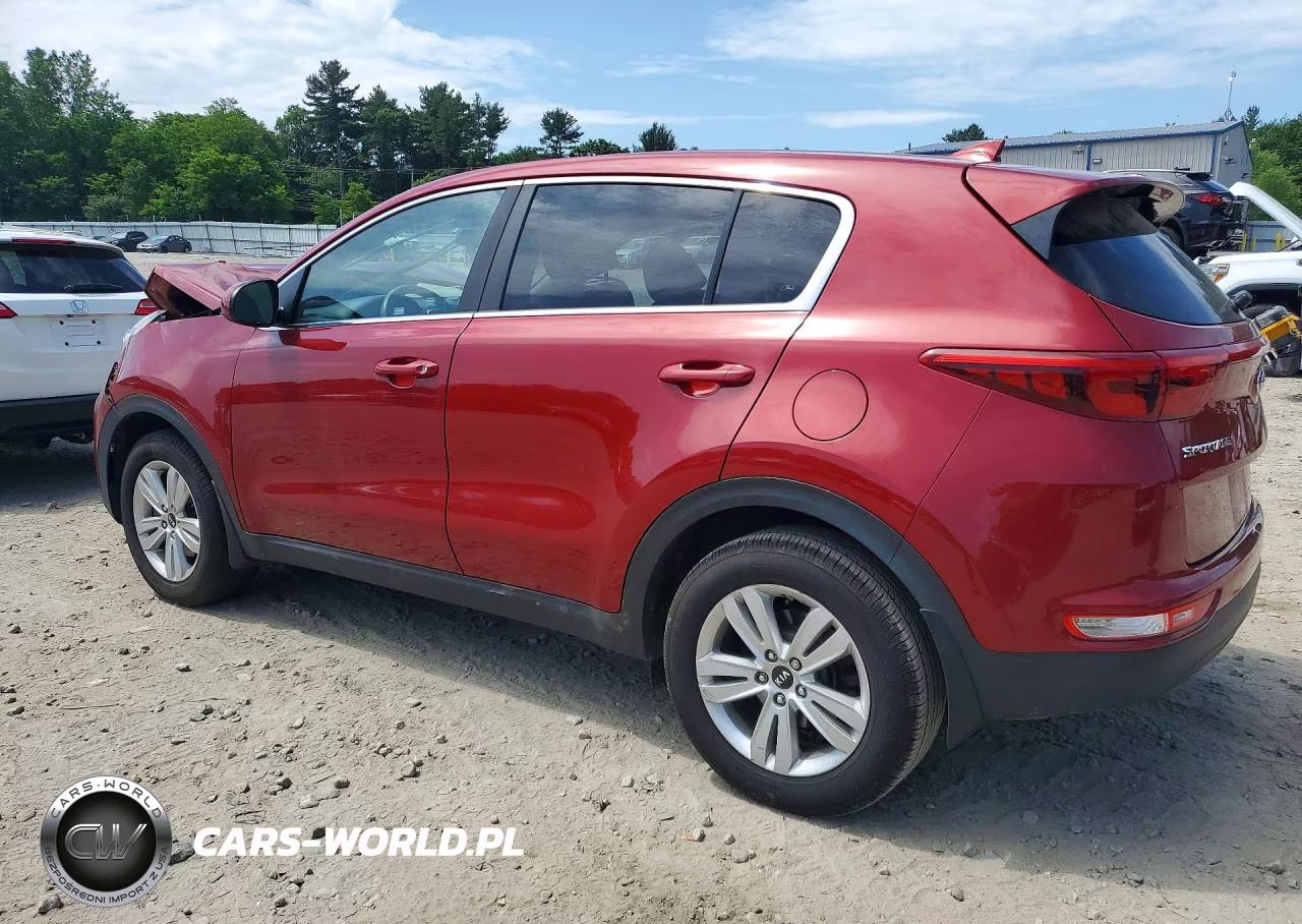 2019 Kia Sportage Lx VIN:KNDPMCACXK7531777 - 2