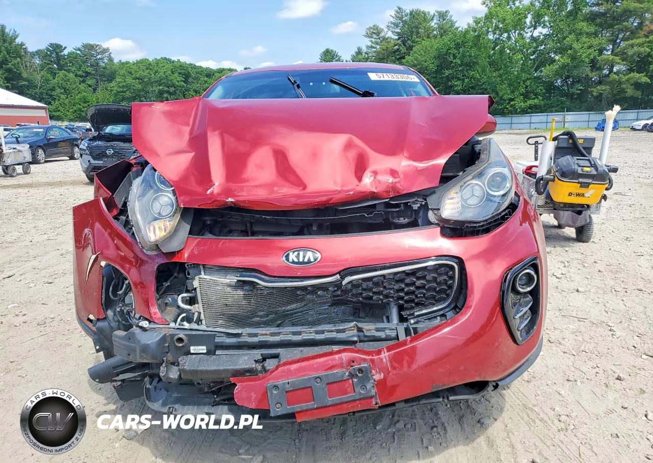 2019 Kia Sportage Lx VIN:KNDPMCACXK7531777 - 5