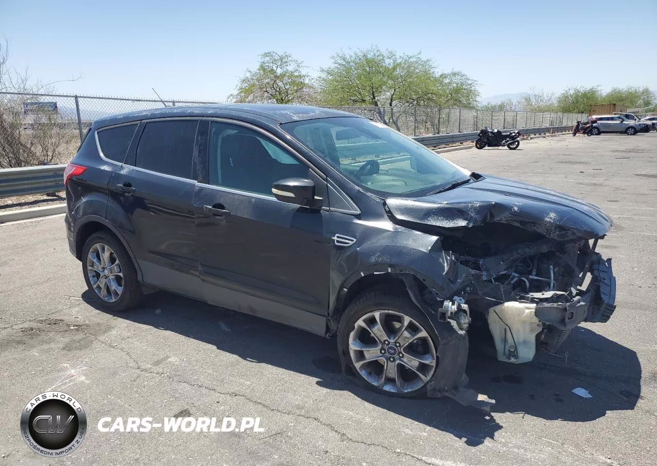 2013 Ford Escape Sel VIN:1FMCU0HX9DUB86215 - 4
