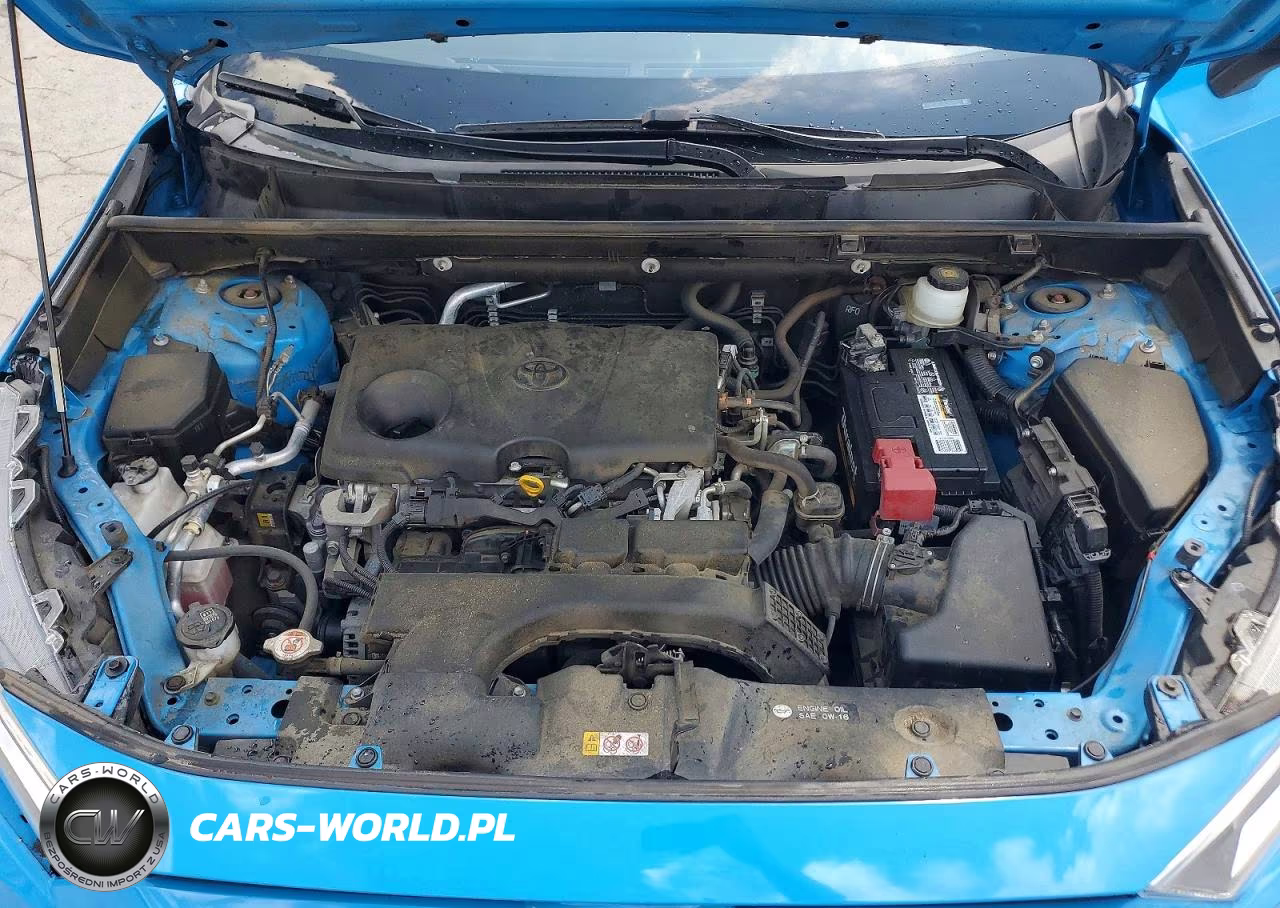 2020 Toyota Rav4 Xle VIN:JTMP1RFV6LJ026099 - 12