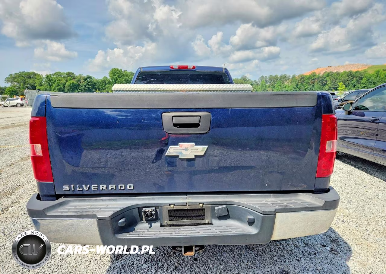 2009 Chevrolet Silverado C2500 Heavy Duty VIN:1GCHC44K99F151572 - 6