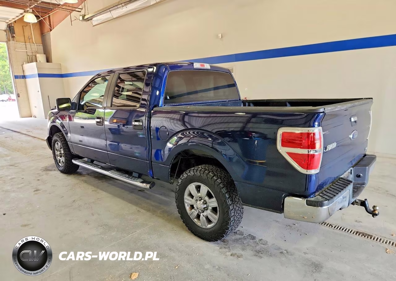 2010 Ford F150 Supercrew VIN:1FTFW1EV5AFB92503 - 2