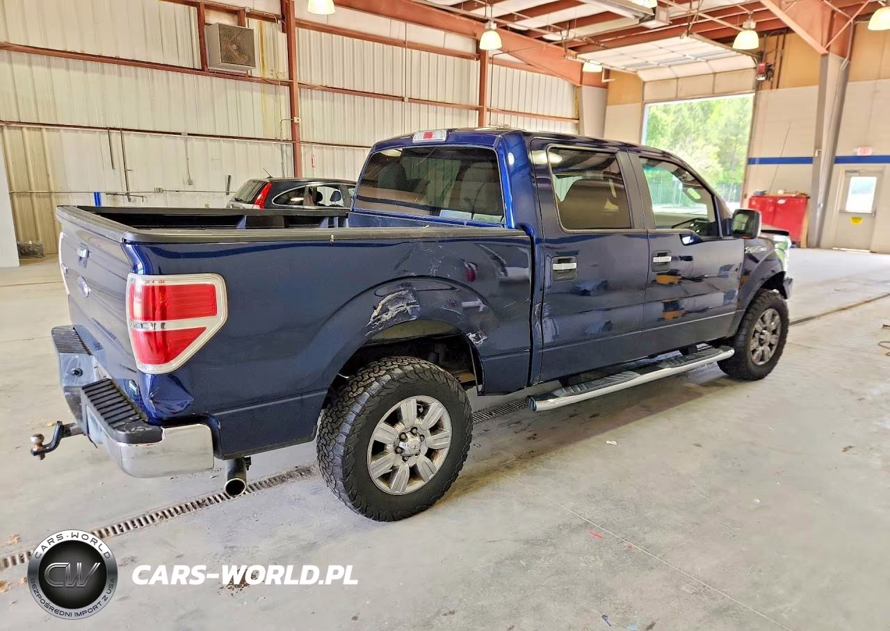 2010 Ford F150 Supercrew VIN:1FTFW1EV5AFB92503 - 3