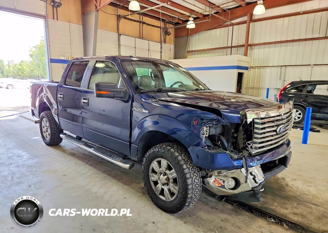 2010 Ford F150 Supercrew VIN:1FTFW1EV5AFB92503 - 4