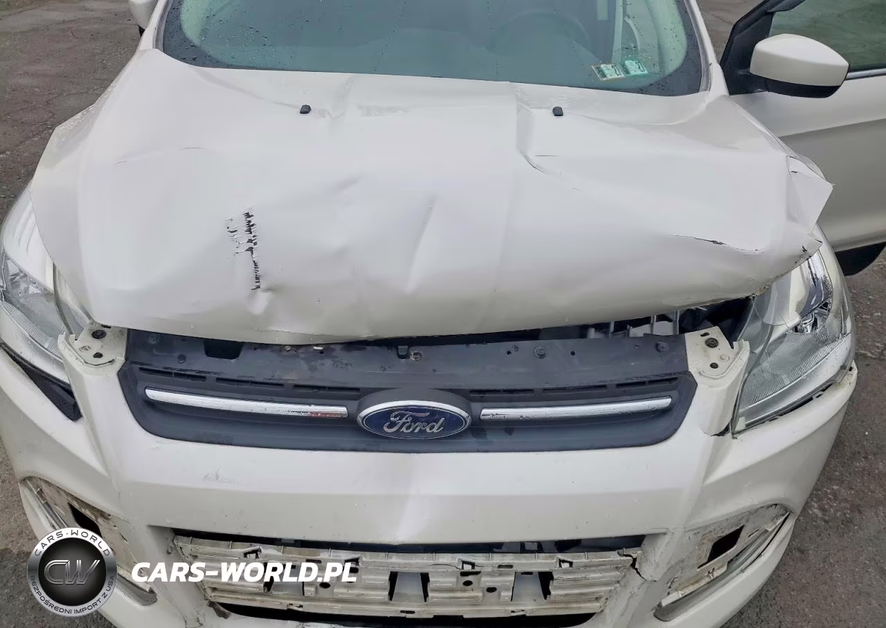 2016 Ford Escape Se VIN:1FMCU9GX7GUB68595 - 12