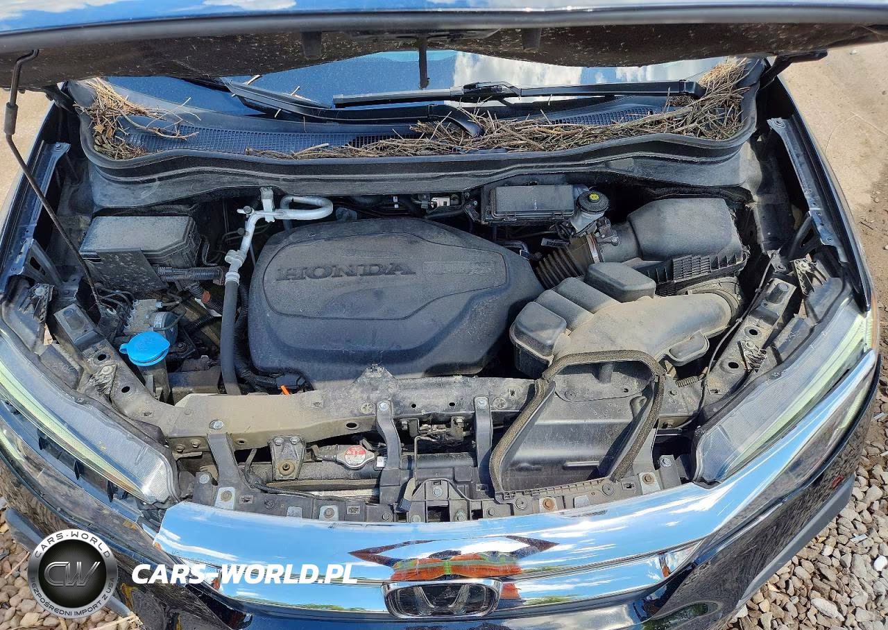 2021 Honda Pilot Exl VIN:5FNYF6H58MB031637 - 12