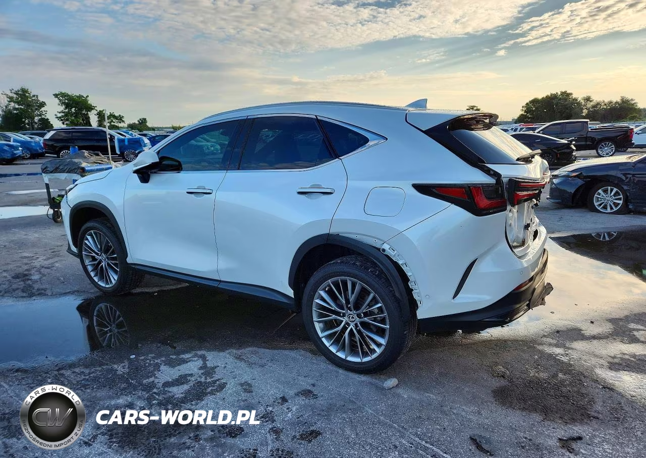 2022 Lexus Nx 350H VIN:2T2HKCEZ5NC007105 - 2