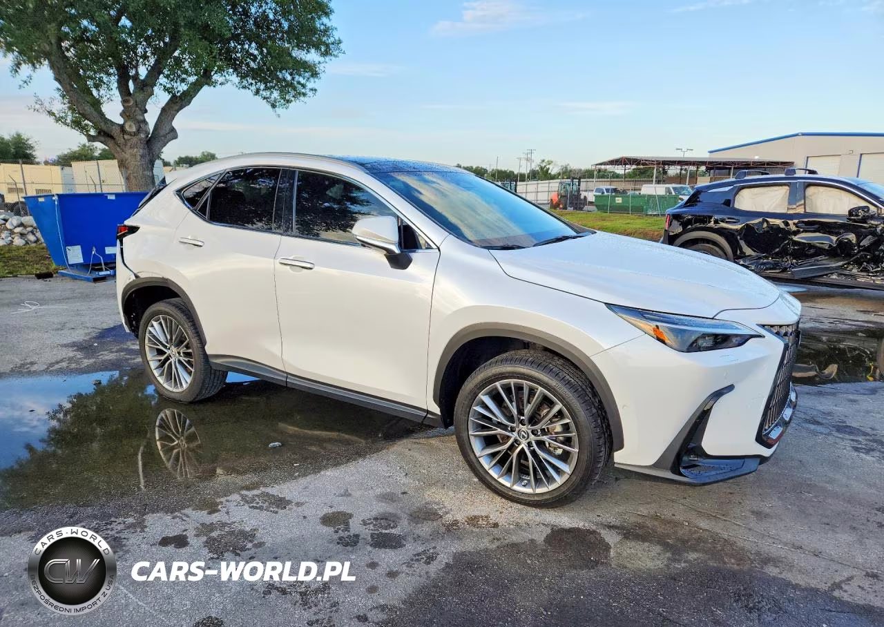 2022 Lexus Nx 350H VIN:2T2HKCEZ5NC007105 - 4