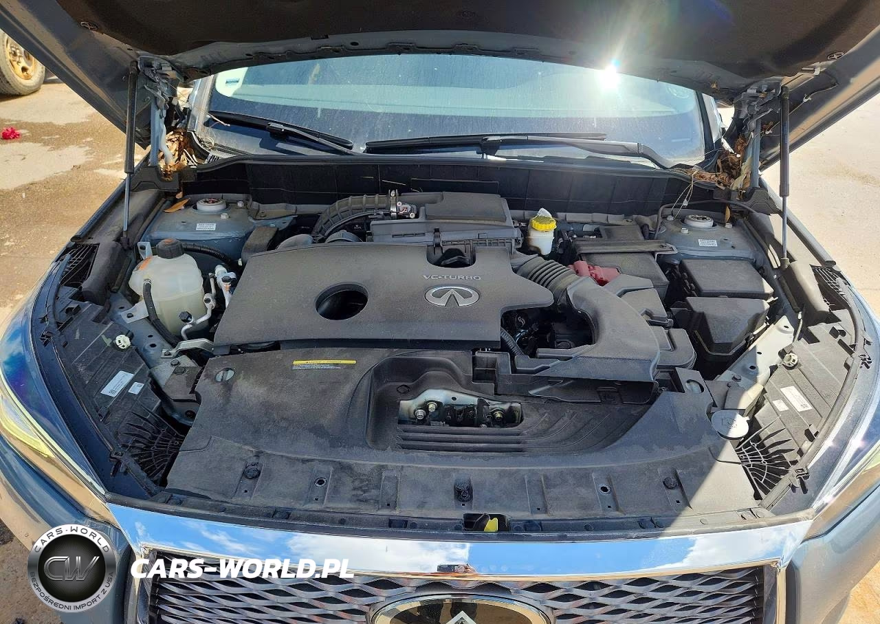 2023 Infiniti Qx50 Luxe VIN:3PCAJ5BA1PF120762 - 12