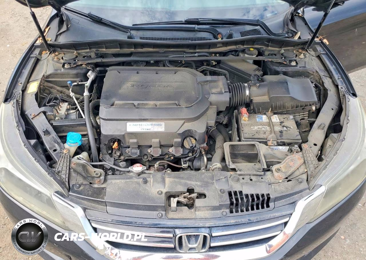 2013 Honda Accord Exl VIN:1HGCR3F82DA044875 - 11