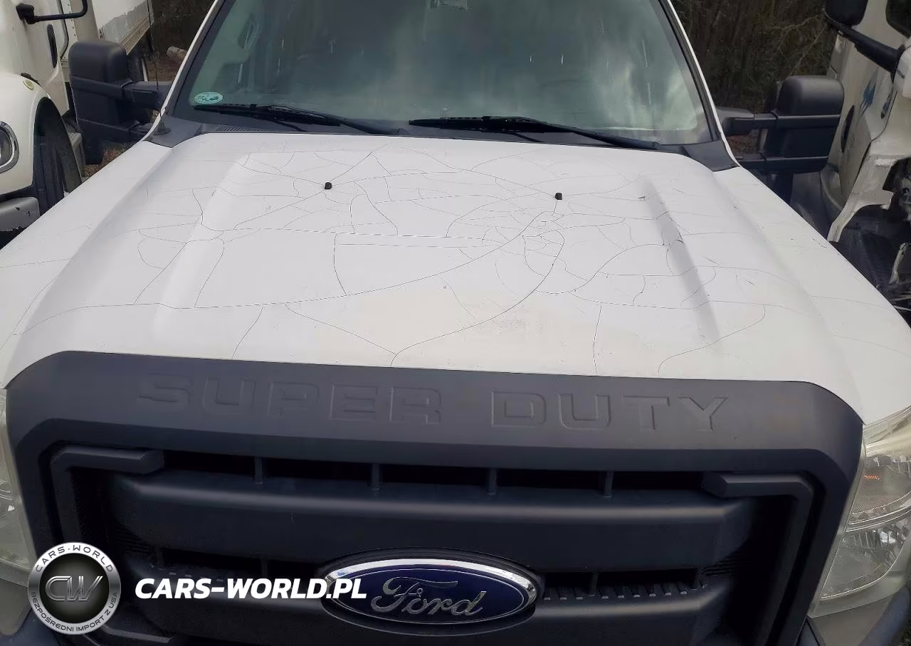 2015 Ford F450 Super Duty VIN:1FD0W4GY0FEA15994 - 11