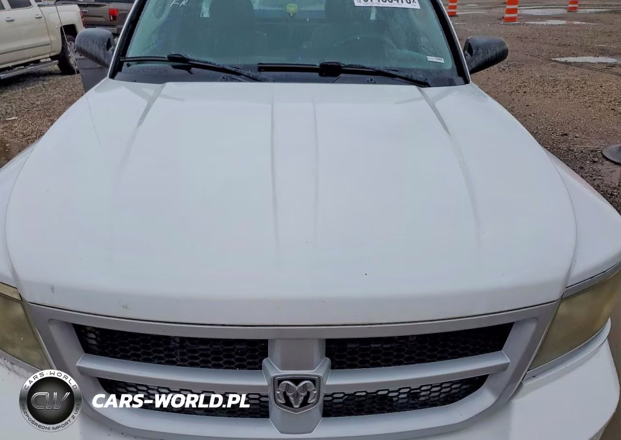 2011 Dodge Dakota Slt VIN:1D7RE3BKXBS580864 - 11