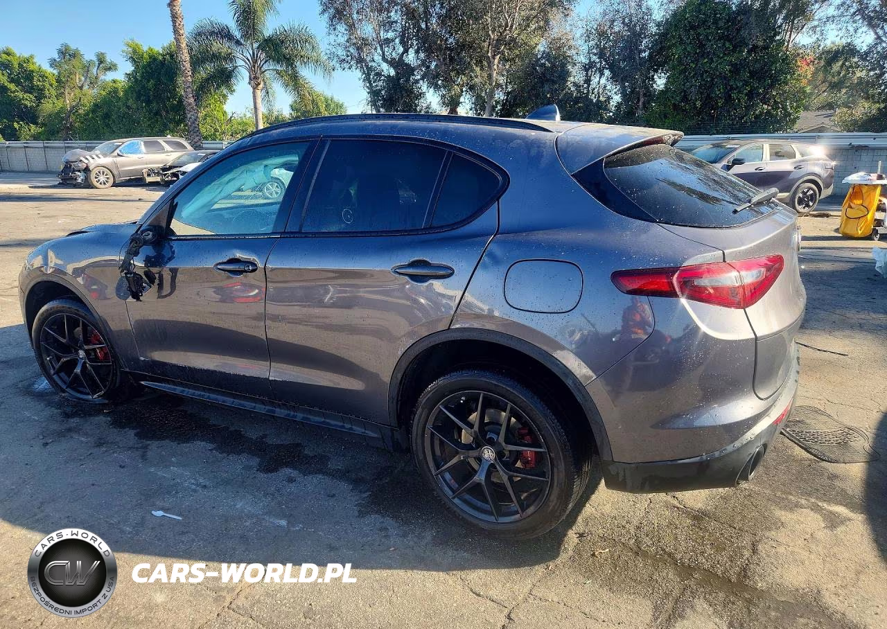2020 Alfa Romeo Stelvio VIN:ZASPAJAN2L7C74055 - 2
