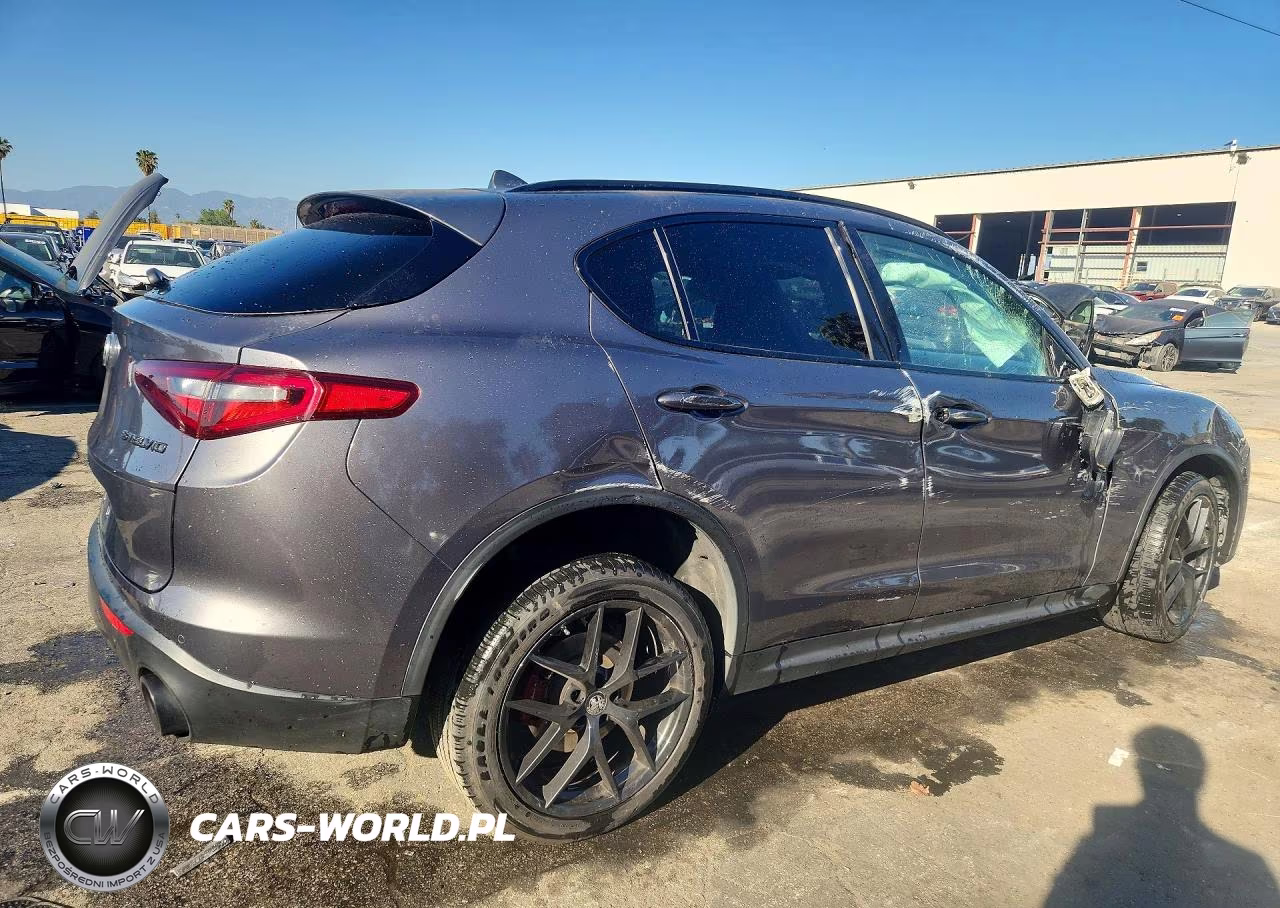2020 Alfa Romeo Stelvio VIN:ZASPAJAN2L7C74055 - 3