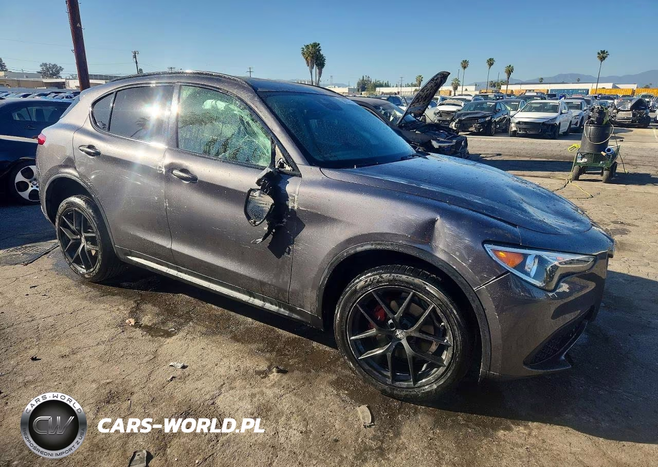 2020 Alfa Romeo Stelvio VIN:ZASPAJAN2L7C74055 - 4