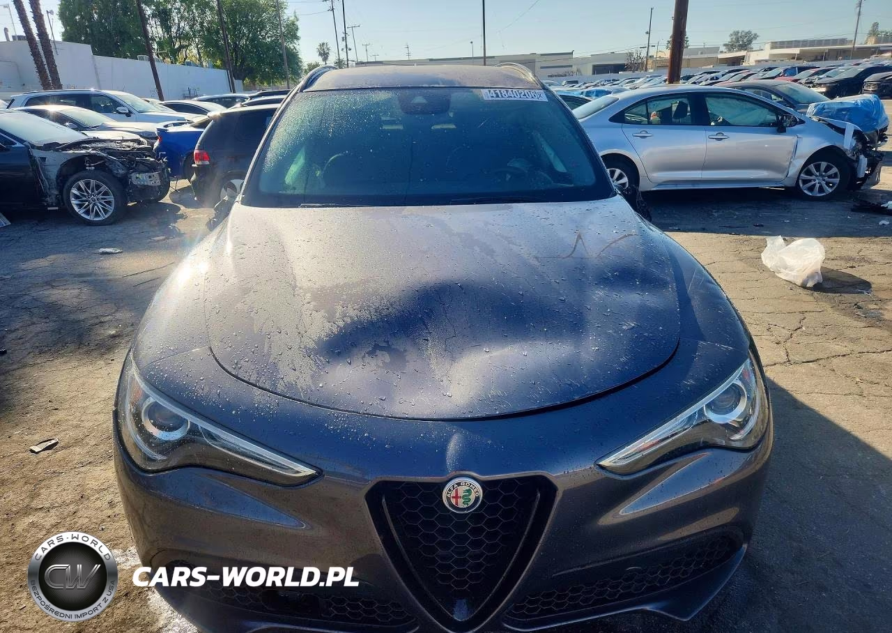 2020 Alfa Romeo Stelvio VIN:ZASPAJAN2L7C74055 - 5