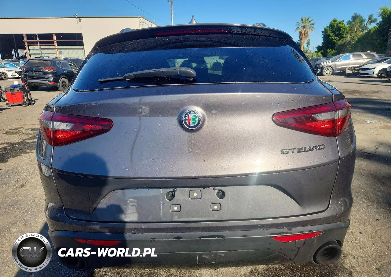 2020 Alfa Romeo Stelvio VIN:ZASPAJAN2L7C74055 - 6