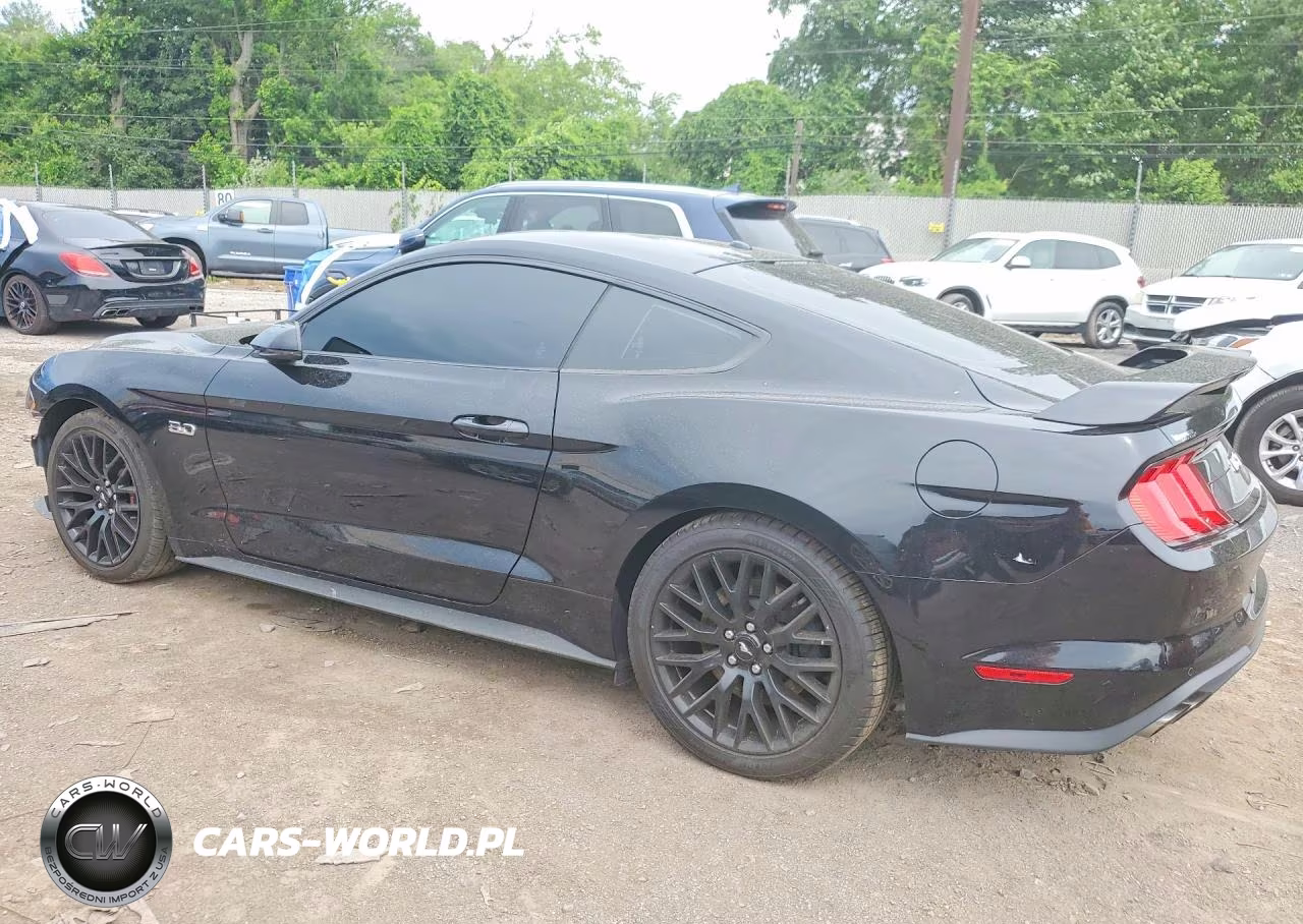 2019 Ford Mustang Gt VIN:1FA6P8CF7K5146573 - 2