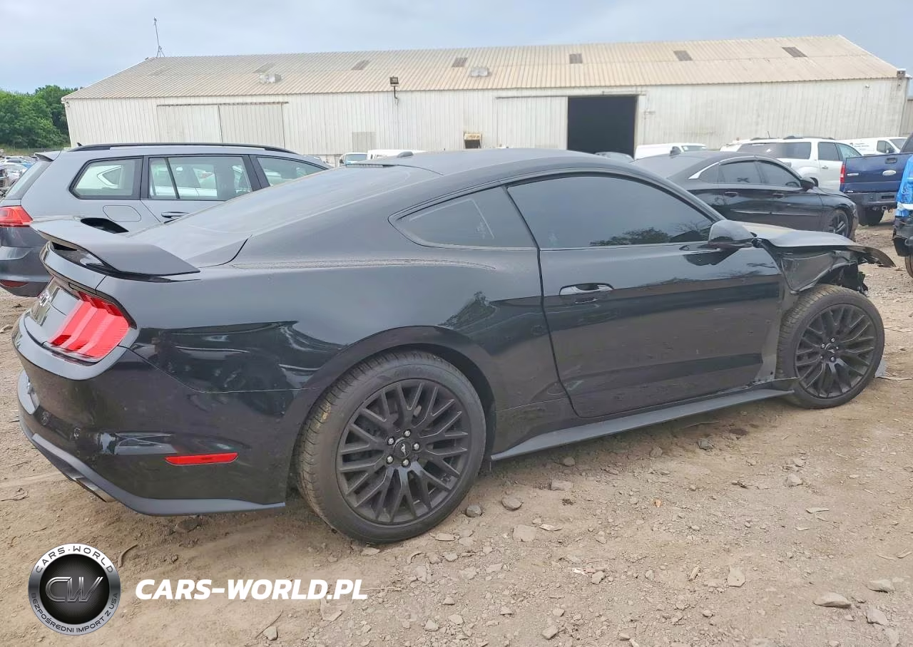 2019 Ford Mustang Gt VIN:1FA6P8CF7K5146573 - 3