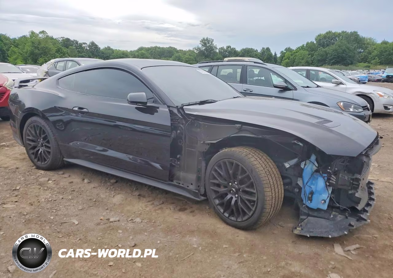 2019 Ford Mustang Gt VIN:1FA6P8CF7K5146573 - 4