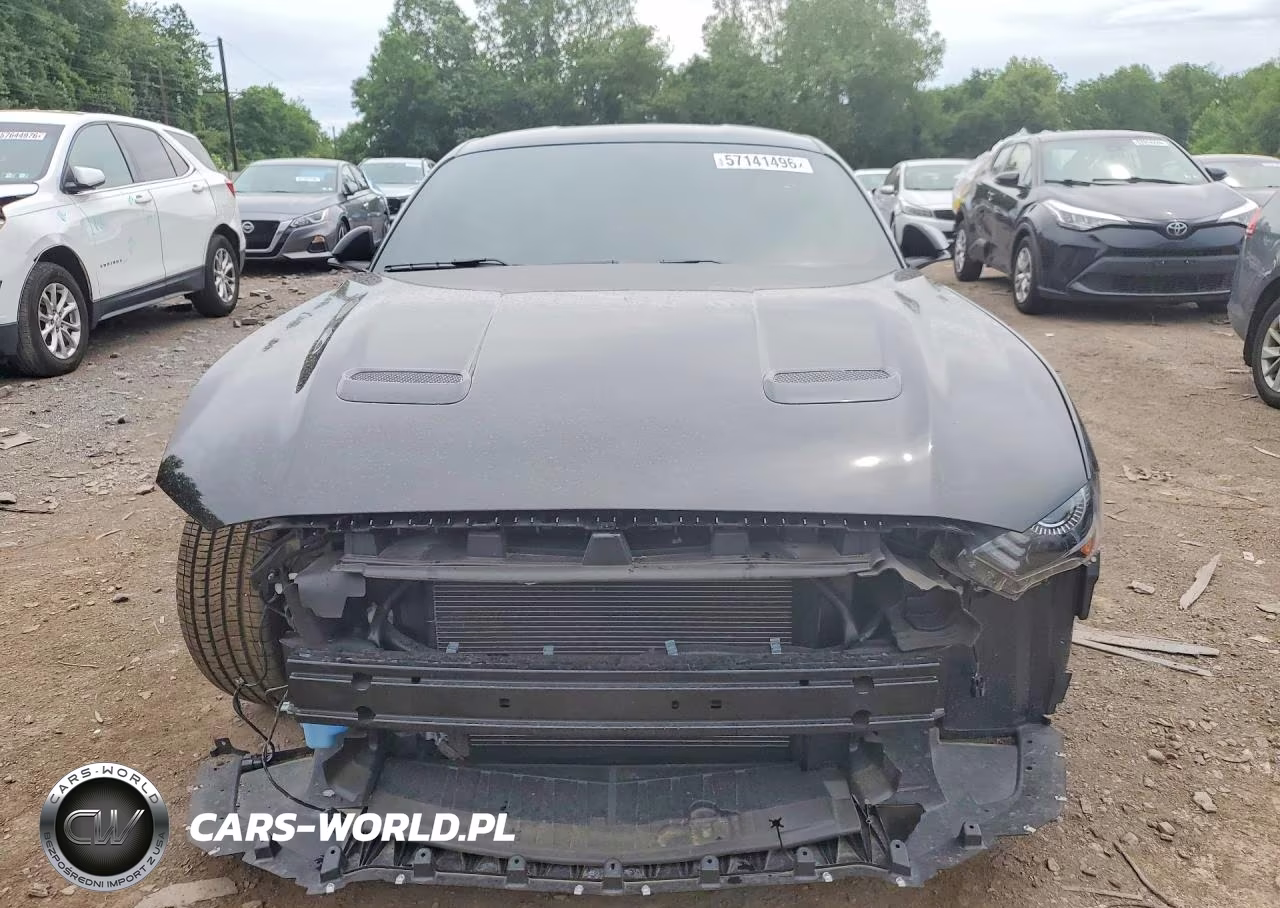 2019 Ford Mustang Gt VIN:1FA6P8CF7K5146573 - 5