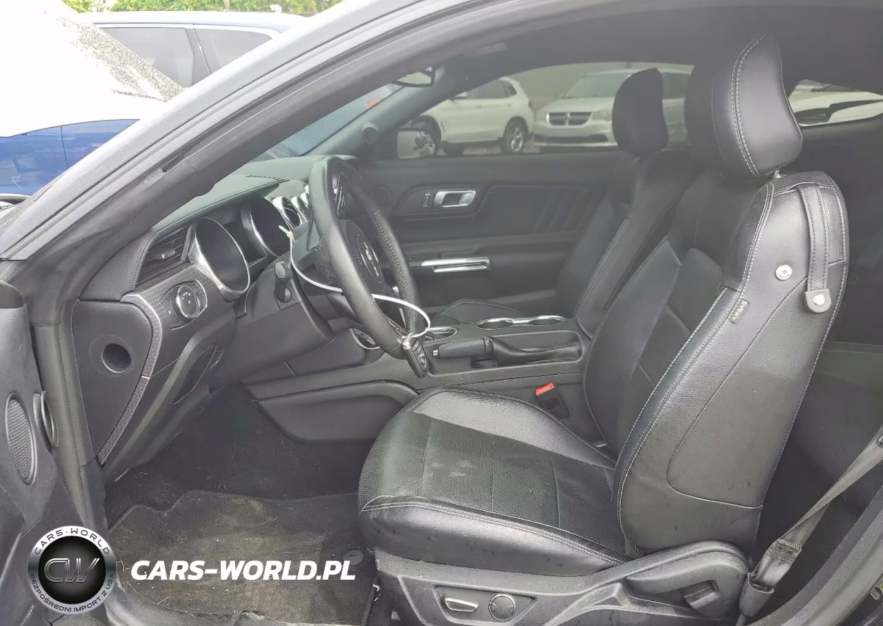 2019 Ford Mustang Gt VIN:1FA6P8CF7K5146573 - 7