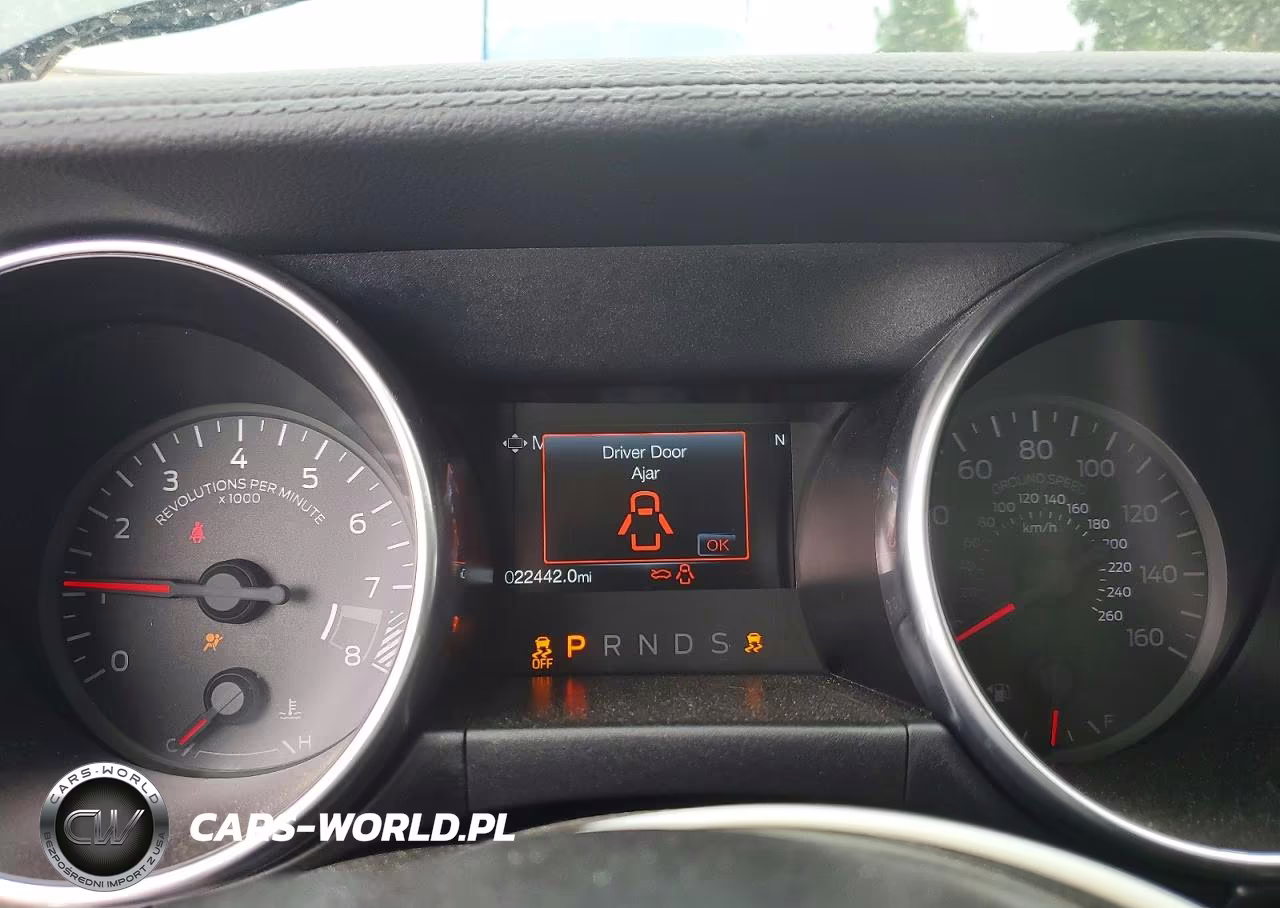 2019 Ford Mustang Gt VIN:1FA6P8CF7K5146573 - 9