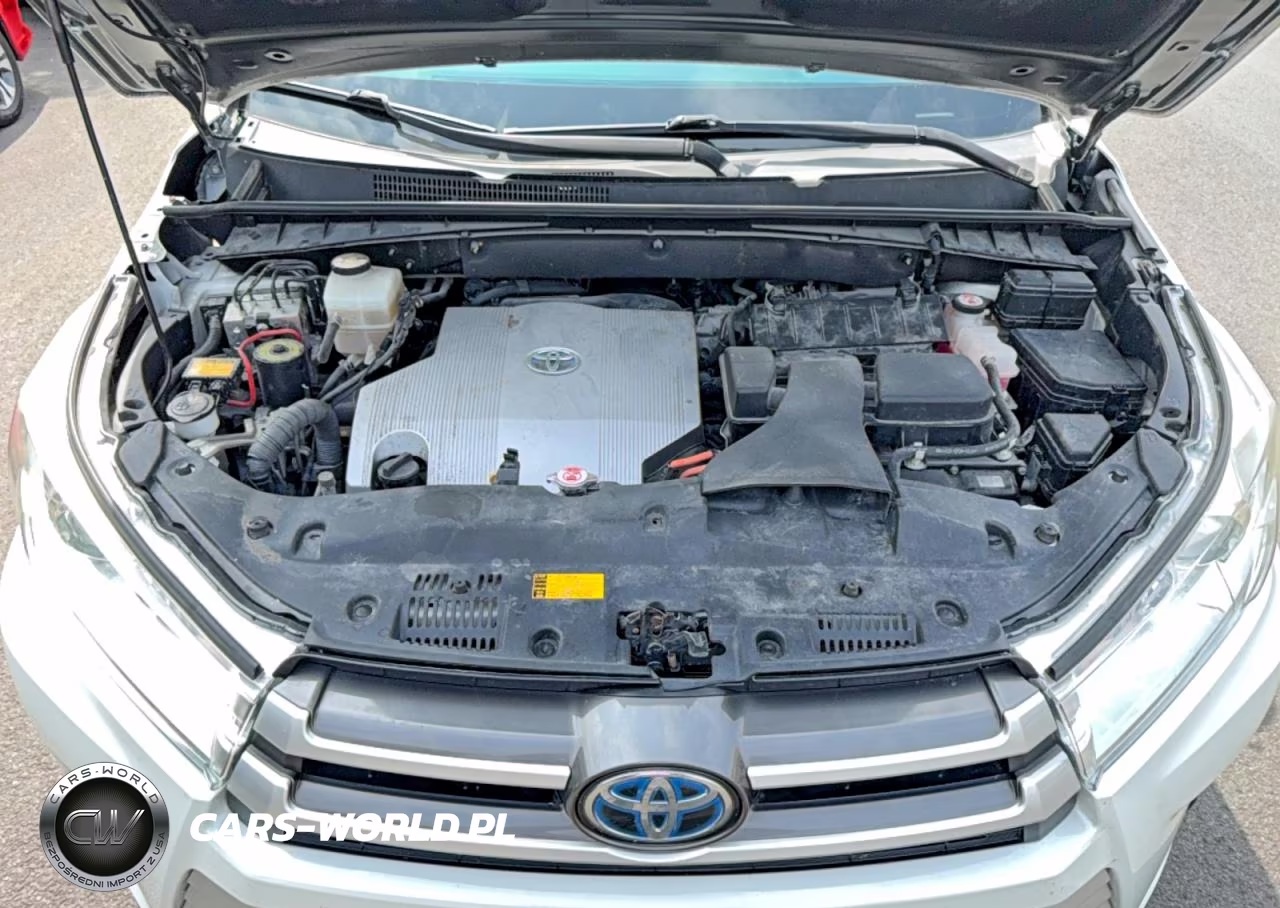2019 Toyota Highlander Hybrid Xle VIN:5TDJGRFHXKS070025 - 7