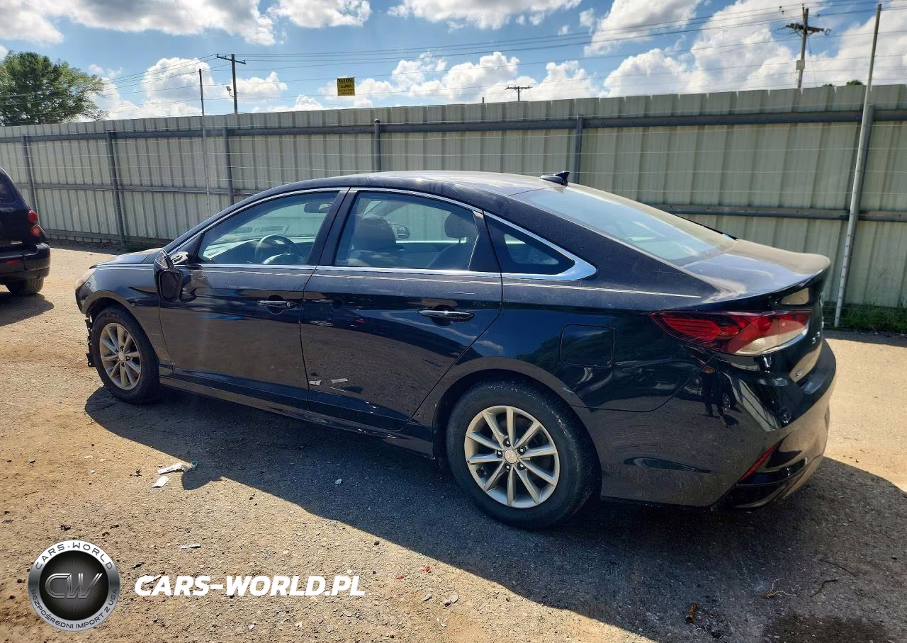 2019 Hyundai Sonata Se VIN:5NPE24AF7KH785021 - 2