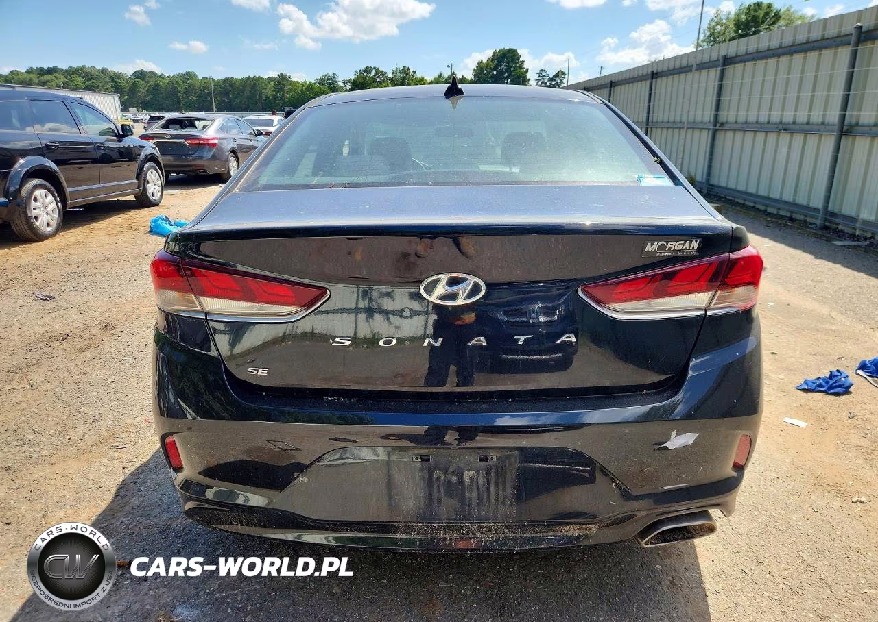 2019 Hyundai Sonata Se VIN:5NPE24AF7KH785021 - 6