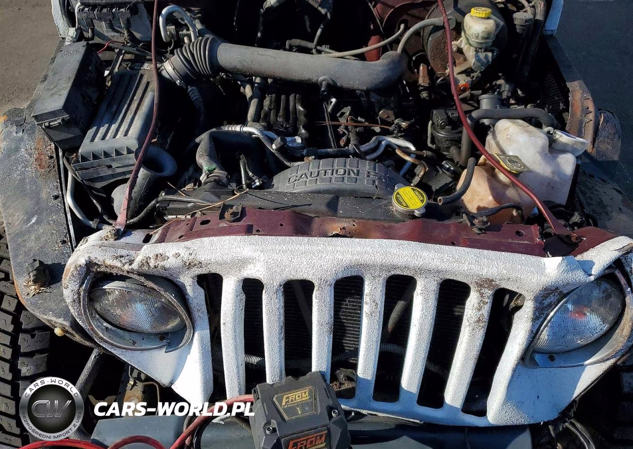 2001 Jeep Wrangler - Tj Sport VIN:1J4FA49S41P308262 - 11